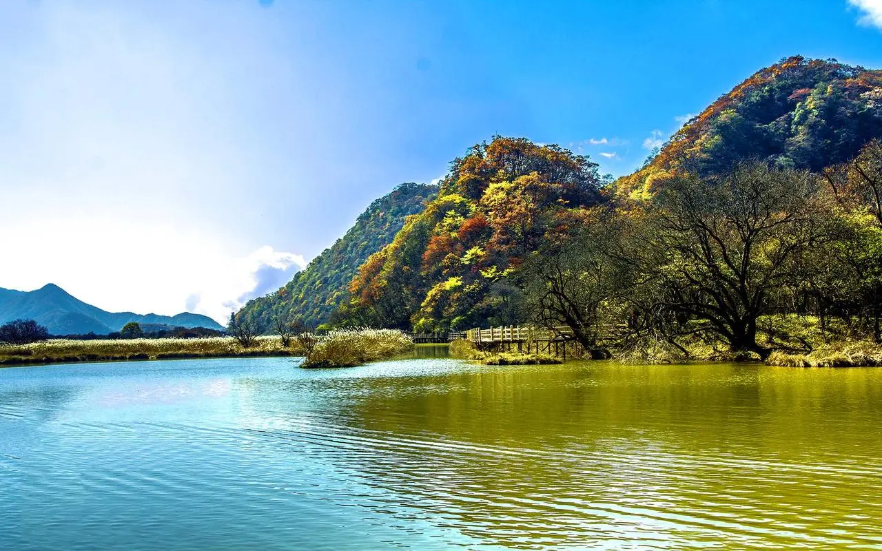 节能电子高标准